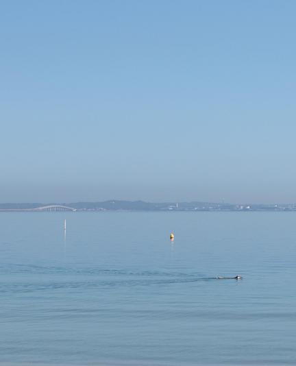 Auto-generated description: A calm sea stretches under a clear blue sky with a distant swimmer and a buoy visible in the water.