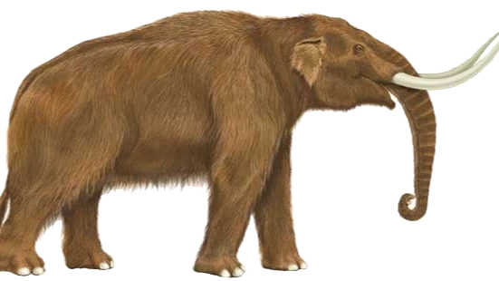 la imagen de un mastodon pillada de internete