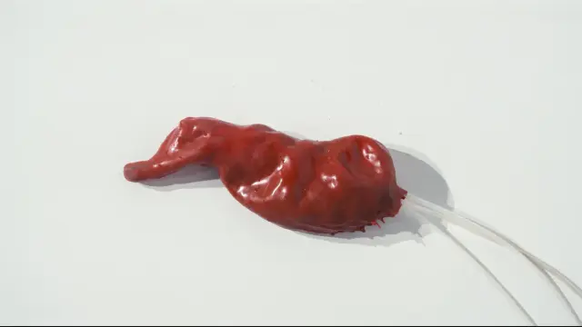 One of the sculpted organs from Operation theater lies on the floor