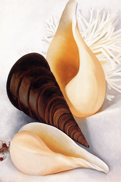 “Vertical compositions of two large white conical shells with large black conical shell between them.”