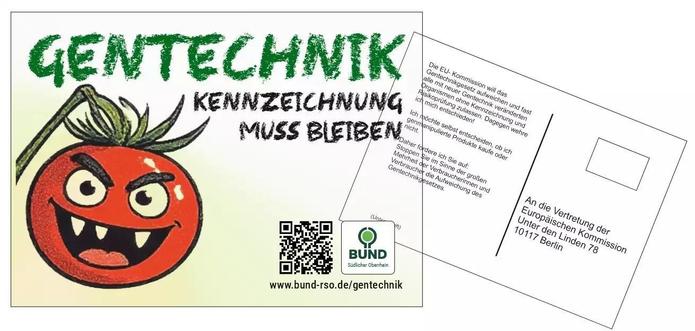 Bild von einer Postkartenzur Kampagne "Gentechnik - Kennzeichnung muss bleiben". Zu sehen ist auf der Vorderseite der Titel, links eine aggressive, halloweenartige Tomate, die höhnisch zu lachen scheint und rechts unten Logo und QR-Code des BUND Regionalverband Südlicher Oberrhein. Auf der Rückseite steht ein Text, der sich an die Vertretungd er EU-Kommission in Berlin richtet und der den Text enthält, der diese dazu auffordert die Aufweichung des Verbraucherschutzes zu verhindern. Die Postkarte kann beim regionalverband kostenlos bestellt werden.