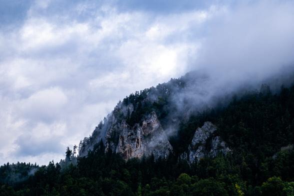 Ein Wald über den schroffer Felsen aufragt. Auf dem Felsen wachsen vereinzelt Nadelbäume. Zwischendurch ziehen Nebelschwaden. Der Himmel ist bewölkt.
