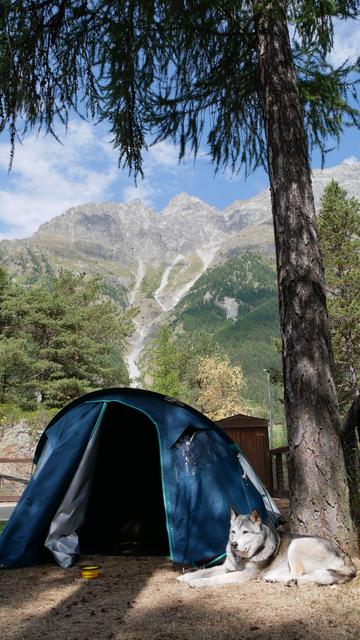 Zelt vor einem Berg. Neben dem Zelt steht ein Baum und liegt ein Hund.