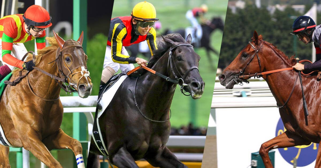 レース概要・過去結果 | 2025凱旋門賞 | JRA-VAN World