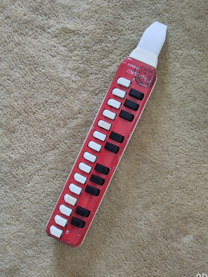 Eine modifizierte Hohner Soprano Melodika