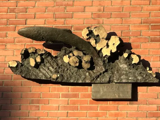 Pienemmän osassa on korkean kiiltoasteen konservointia. Kuvaa hyppäävää lohta.