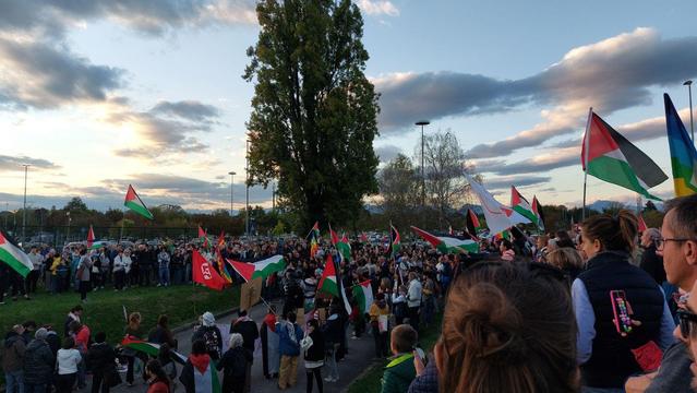 Viele Menschen unter freiem Himmel, palästinensische Flaggen, ein grosser Baum, abendlicher Himmel