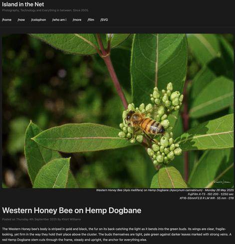 Desktop Screenshot of Wordpress Cornerstone Theme Home Page