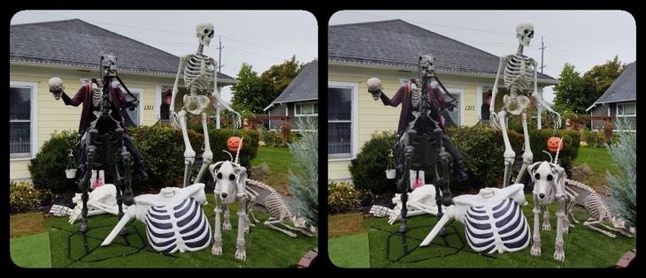 A skeletal headless horseman, a partly assembled giant skeleton emerging from the ground, a giant standing skeleton, and a pair of giant dog and cat skeletons. All in front of a suburban house. Stereoscopic.