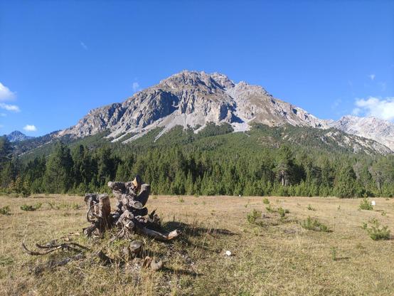 A picture of a mountain in the Swiss National Park