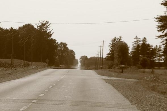 Looking down a paved rural road in Southern Ontario. Both sides of the road are fields with some trees as wind break. To the right is a mailbox, with an entrance to a driveway.