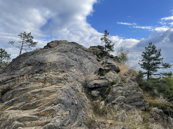 Großer monolithischer Gipfelfels des Silberberges über Bodenmais, unter weiß blauen Himmel grau mit hageren Wetterfichten