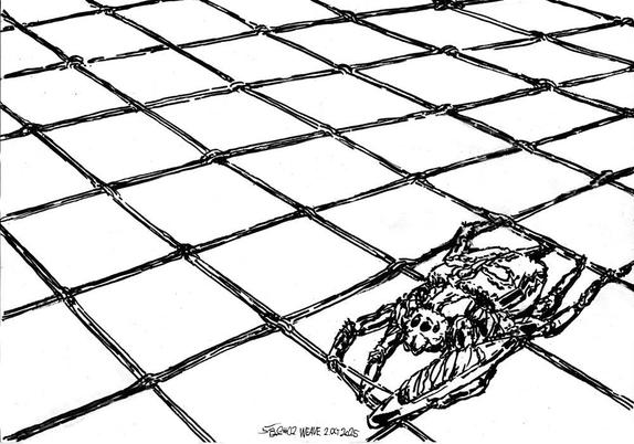 A spider weaving...