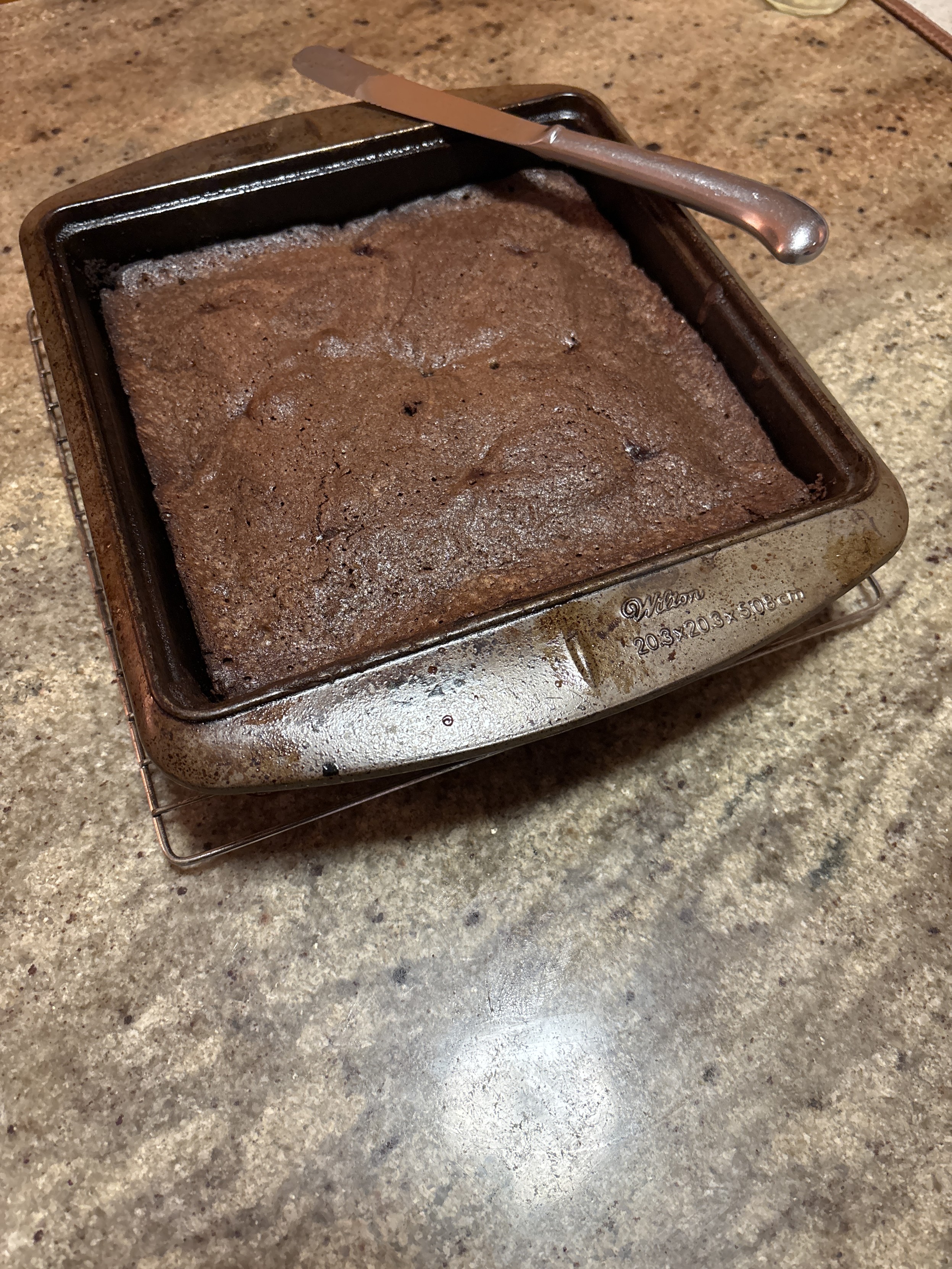 pan of briwnies fresh from the oven, sitting on a cooling rack on a countertop
