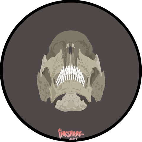 A drawing of a beauchene skull with prominent teeth (and if you don't know what that is, look it up, it's so cool)