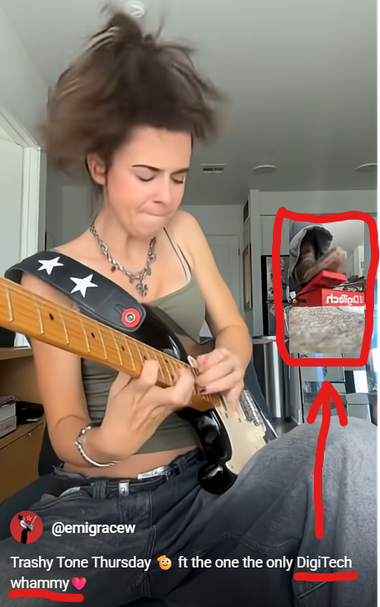 A digital whammy bar that raises/lowers the pitch of notes through the magic of digital signal processing.

https://digitech.com/dp/whammy-dt/
