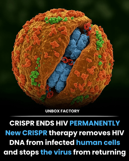 A graphic of what is presumably a cell in the human body. It is captioned, “CRISPR ends HIV permanently. New CRISPR therapy removes HIV DNA from infected human cells and stops the virus from returning.”