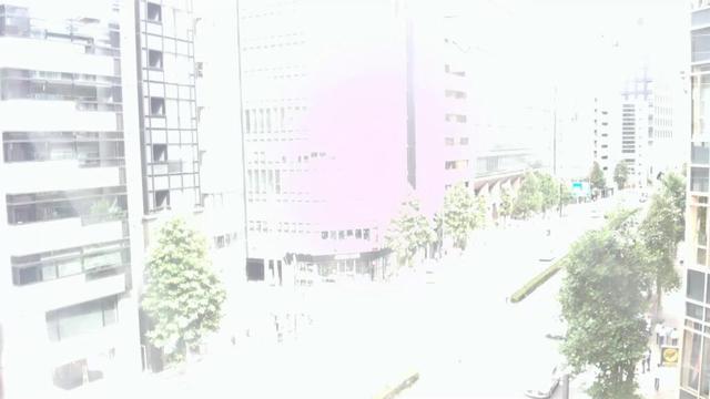 東京都千代田区麹町ライブカメラ。Tokyo Shinjuku street Live camera. World cam.
