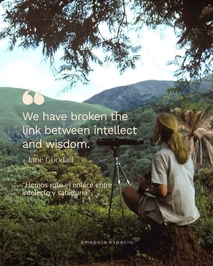 Jane Goodall old pic