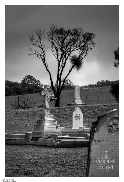 Black and white photograph by Kev Peirce. A moody, low angle view of the historic Tungkillo Cemetery in South Australia.

In the foreground, a prominent, heavily weathered marble cross and several other headstones are visible, one of which is partially blurred and cropped on the right.

In the center, a dark, dead tree with sparse, twisted branches stands dramatically against a gloomy, overcast sky, visually dominating the scene.

The landscape slopes upward behind the graves, revealing rolling hills and fence lines in the background.