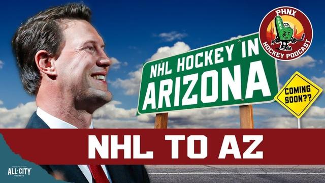The Effort to Bring the NHL Back to Arizona is Underway