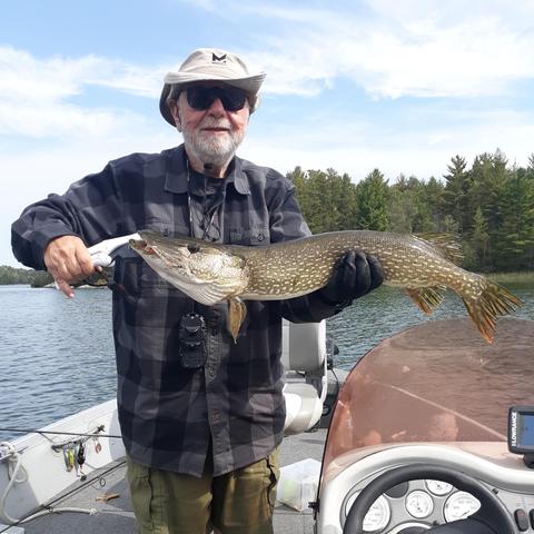 Very handsome guy holding a 37# northern pike caught on an in-line spinner bait.
