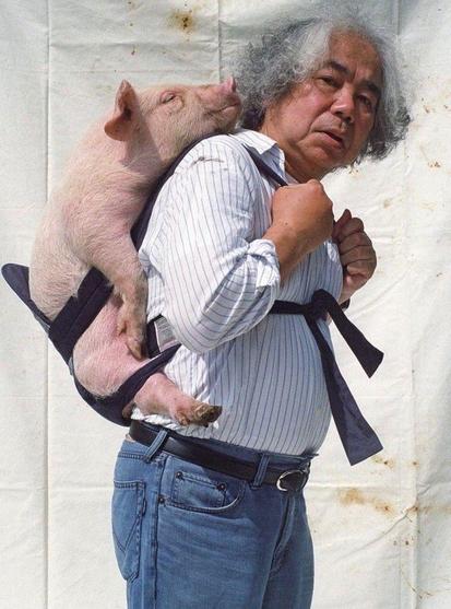 Hombre con cabello alborotado canoso cargando un puerquito en su espalda