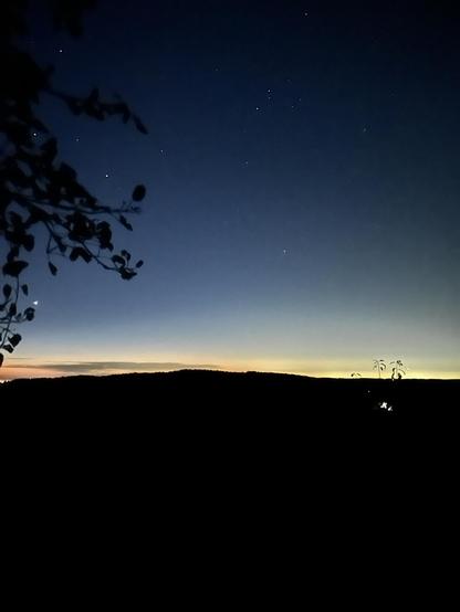 It’s all pretty dark to my eyes. Dark tree on my left dark shrubbery in front of me, dark pastures and cornfield and hills. The sky has stars I see the lights of Alliston over the hill and a barn light at the next concession.