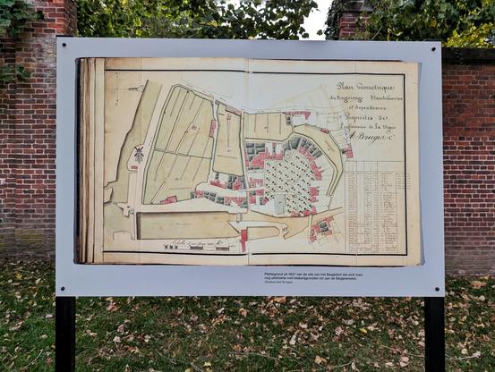 Bild 2 (Plan 1837):
Alt-Text: Plan von 1837 zeigt den Beginenhof mit eingetragenem Baumbestand im zentralen Hof.