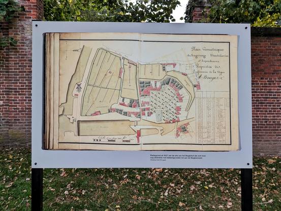 Bild 2 (Plan 1837):
Alt-Text: Plan von 1837 zeigt den Beginenhof mit eingetragenem Baumbestand im zentralen Hof.