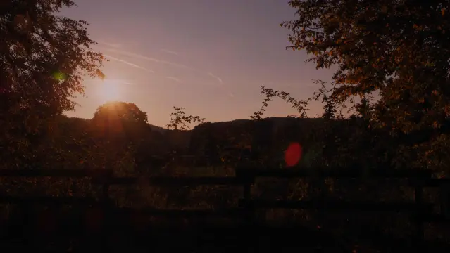 Sonne über einem Baum , Sträucher als Schattenriss