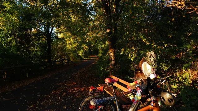 Herbstlicher Weg mit Fahrrädern im Vordergrund
