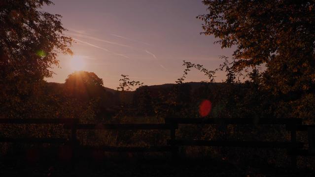 Sonne über einem Baum , Sträucher als Schattenriss
