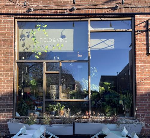 Storefront window in a brick building, divided into variously shaped rectangular panes that fit together to make a single broad, tall window much like a Mondrian painting. The business name "FIELD & VINE"  is printed on the upper left corner pane, with tendrils of green vine painted to curl around the name.  Inside, small potted plants on the sill and large floor plants fill much of the window, and outside, white window boxes filled with plants hang across bottom of window.