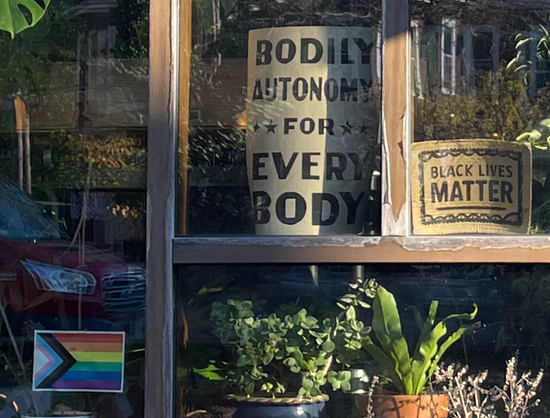 Close-up on a portion of the window showing a sign declaring "BODILY AUTONOMY FOR EVERY BODY," another saying "BLACK LIVES MATTER," and a small LGBTQ pride flag sticker (Trans Pride colors in a chevron on left side pointing into rainbow stripes over the rest of the flag).