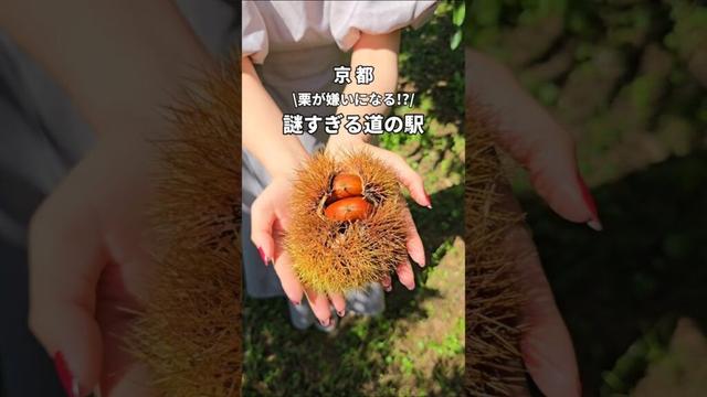 【京都】100種類の栗グルメを堪能！？逆に栗嫌いに⋯？