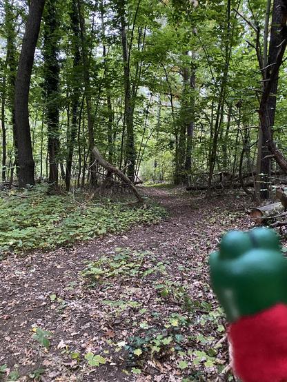 Kleiner dino im wald