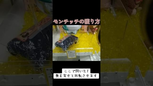 #クレーンゲーム #攻略 #確率無視 #謎設定 #モンチッチ  クレーンゲーム 攻略  TikTok