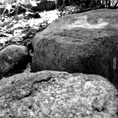 A black-and-white picture of flat rock in the shade next to other rocks, seen from an almost level position.
© Stefanie Neumann - #KBFPhotography