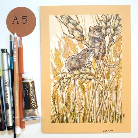 An A5 size drawing of harvest mice in a wheat field. The mice are climbing stalks of wheat. The artwork is in browns, beige and peachy tones. It is on peach toned pastel paper.
Harvest mice are Britain’s smallest rodent, weighing only 4-6 grams. In the British Isles, harvest mice are mainly found south of central Yorkshire, although they do also occur in Scotland and Wales.
An original art work, sold unframed.
Colour pencil and mixed media on acid free toned artist paper
Size A5 (148 x 210mm / 5.8 x 8.3")