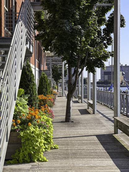 Public walkway along a river with buildings and flowers