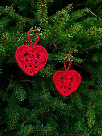 Two dark red crocheted hearts hanging in a spruce.