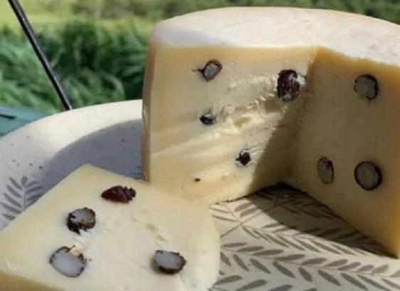 taiada-silvania-le-fromage-aux-fourmis-bresiliennes-1