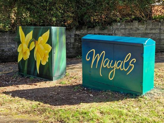 Painted utility boxes in Mayals showing daffodils and the word “Mayals” in script, part of a community art project across Swansea.