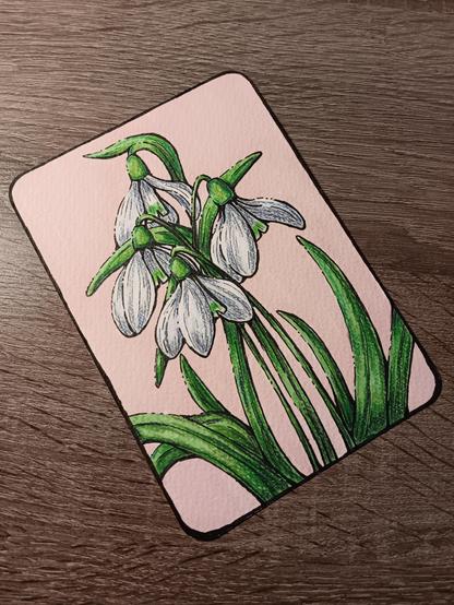 Foto einer Postkarte mit gezeichneten Schneeglöckchen, mit einem leicht rosa Hintergrund, auf einem Holzuntergrund