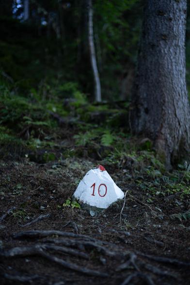 Roche pour petit poucet, en forêt. Le numéro 10 est inscrit à l'avant, couleur rouge sang.