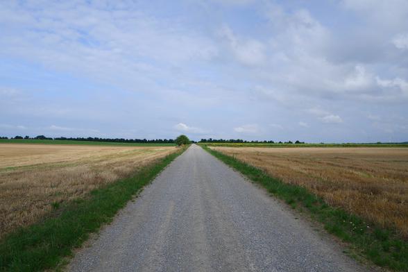 Feldweg bei Gaweinstal