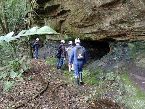 Imagem de capa da notícia, infelizmente por ser um bot hospedado gratuitamente, não consigo gerar texto alternativo!