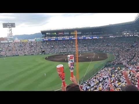 20240914　ﾉﾏ猛暑の聖地で【野間峻祥 応援歌】　8回表　広島東洋ｶｰﾌﾟ@阪神甲子園球場･ﾚﾌﾄ外野