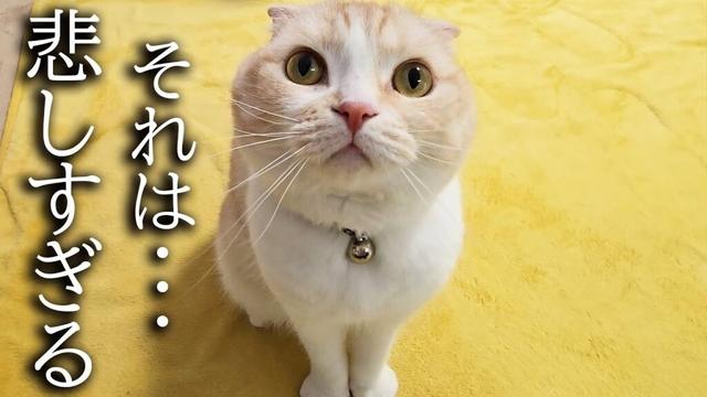 みなさま悲しい事がありました...